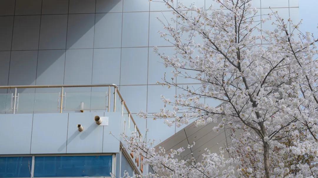 河南科技大学西苑校区河南科技大学西苑校区宿舍