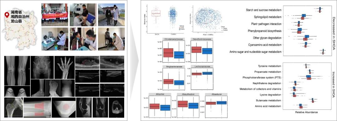 重磅！首届中南大学重大学术进展入选成果揭晓