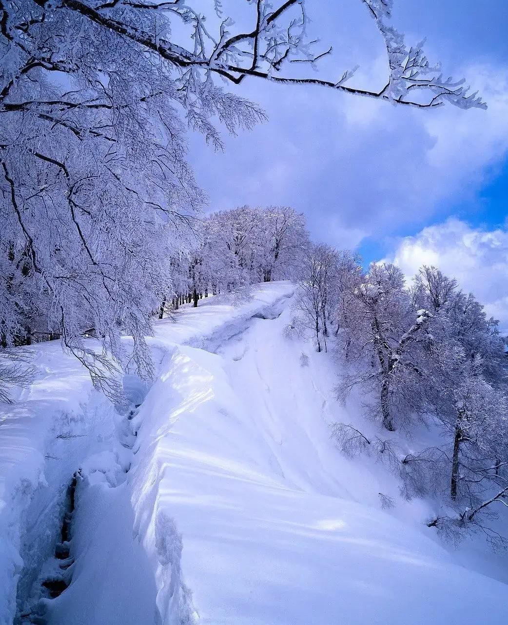 雪中情，相思情，思乡情