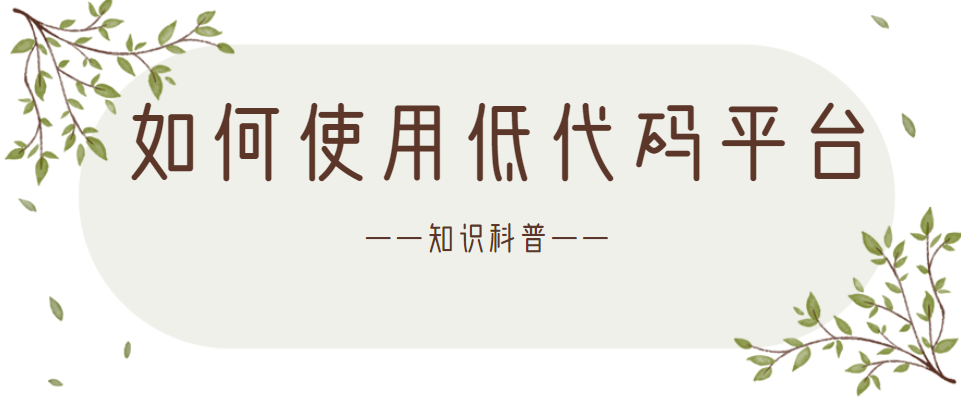 什么是低代码？如何使用低代码开发应用程序？