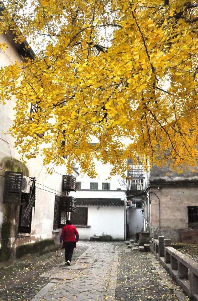 苏州16个绝美赏秋圣地，大部分免费，别错过