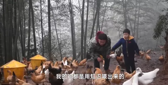 仝卓高考舞弊案细节曝光！教育局工作人员安排他人伪造材料【三分钟法治新闻全知道】