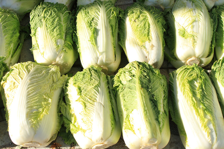 白菜变“毒菜”，甲醛超标会致癌？牢记4点避免“甲醛白菜”