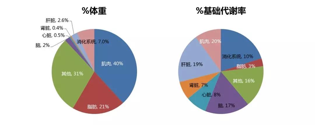 8瓦功率一天要多少电（8瓦一小时多少电费）-第4张图片-易算准