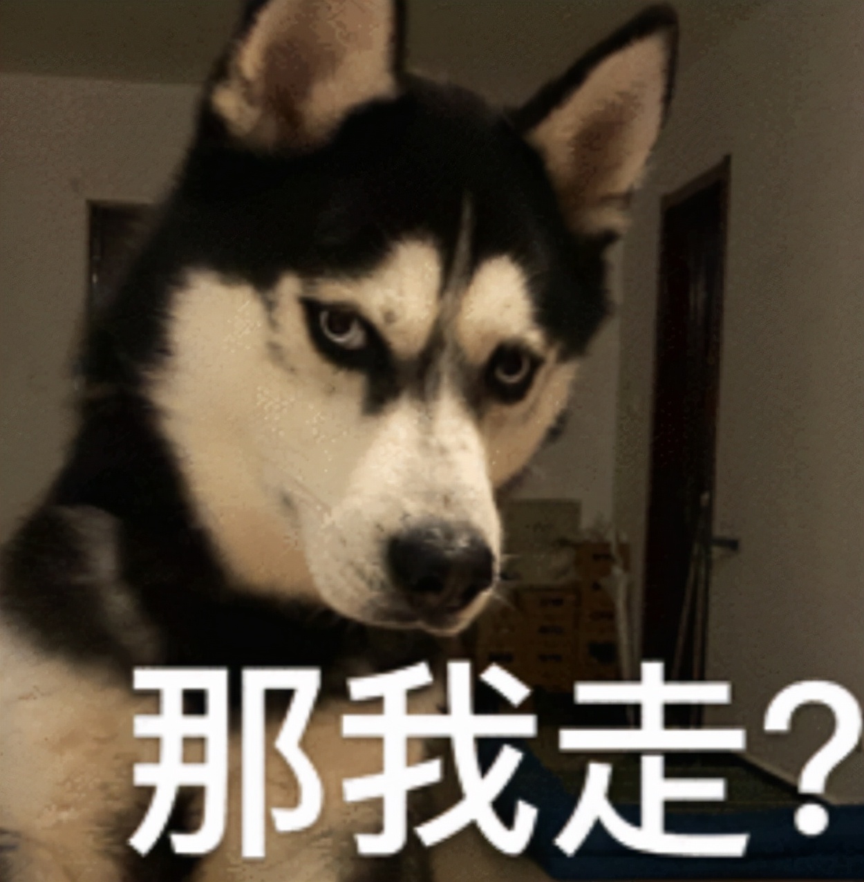 油麦是什么意思网络用语(油麦是什么意思网络用语)-第2张图片-巴山号