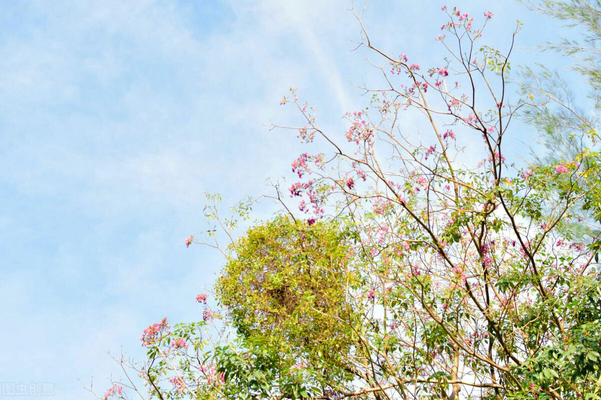 盘点5个被家长误解的专业，学游戏设计是玩？学风景园林是种树？