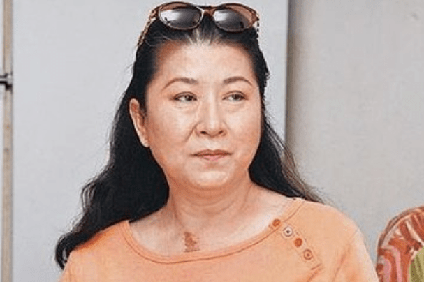 据医生的诊断,陈淑桦的母亲的伤势并不是很严重,只是因为平常工作太