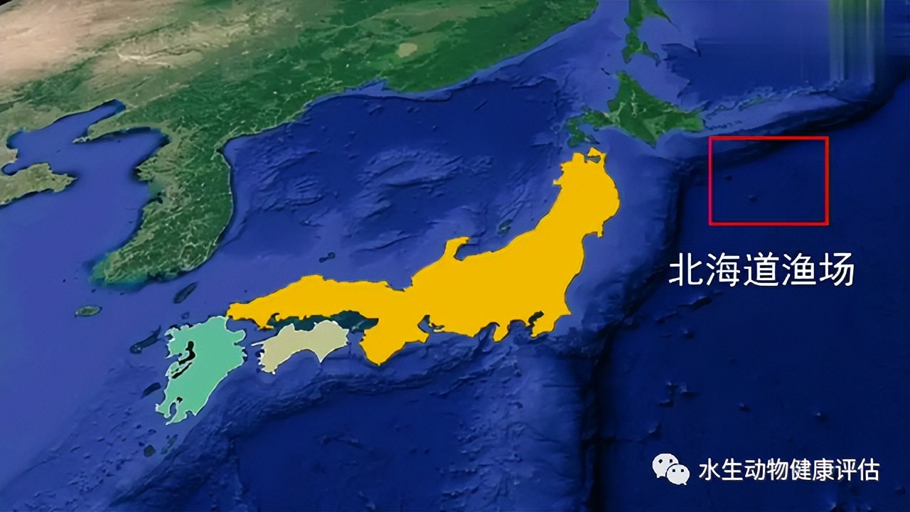 北海道渔场（北海道渔场盛产的鱼类）-第3张图片-昕阳网