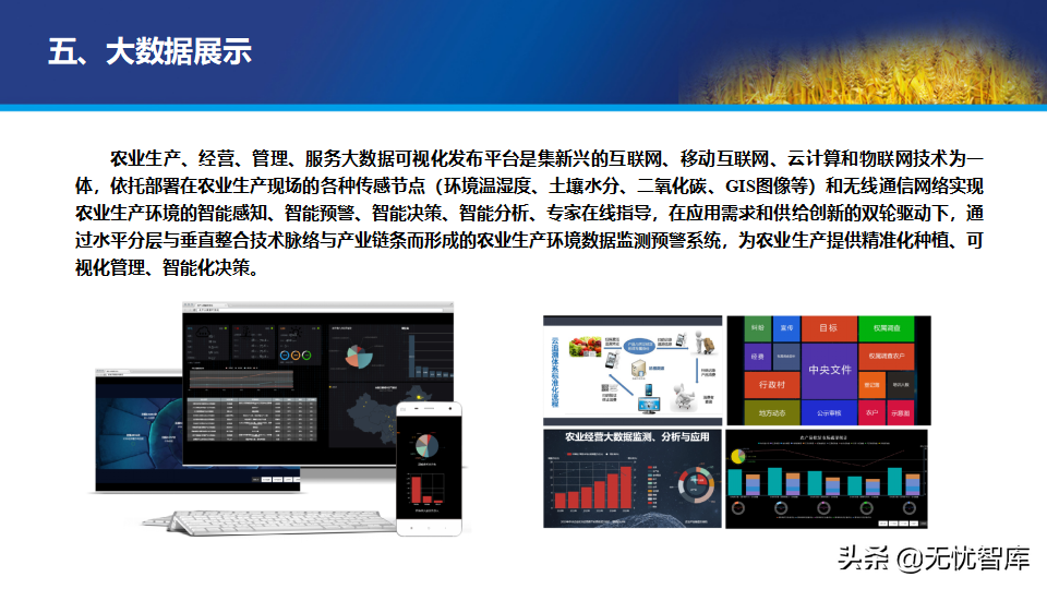 65页PPT智慧数字乡村农业大数据解决方案（附PPT全文下载）