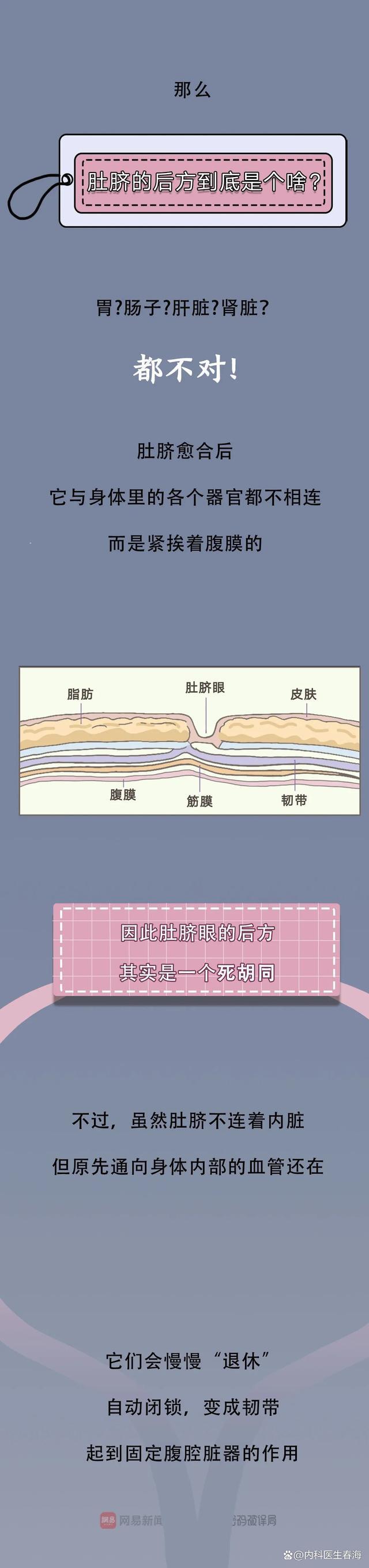 肚脐眼后面是什么?一组漫画解析,或许和妈妈说的不一样