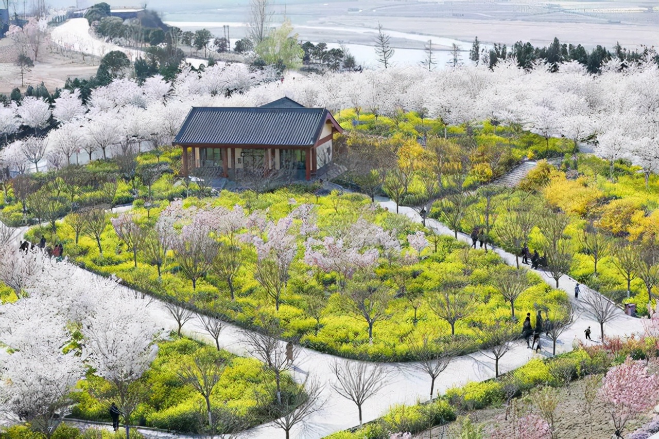 郑州旅游必去的十大免费景点，宝贝出门长见识，周边遛娃圣地