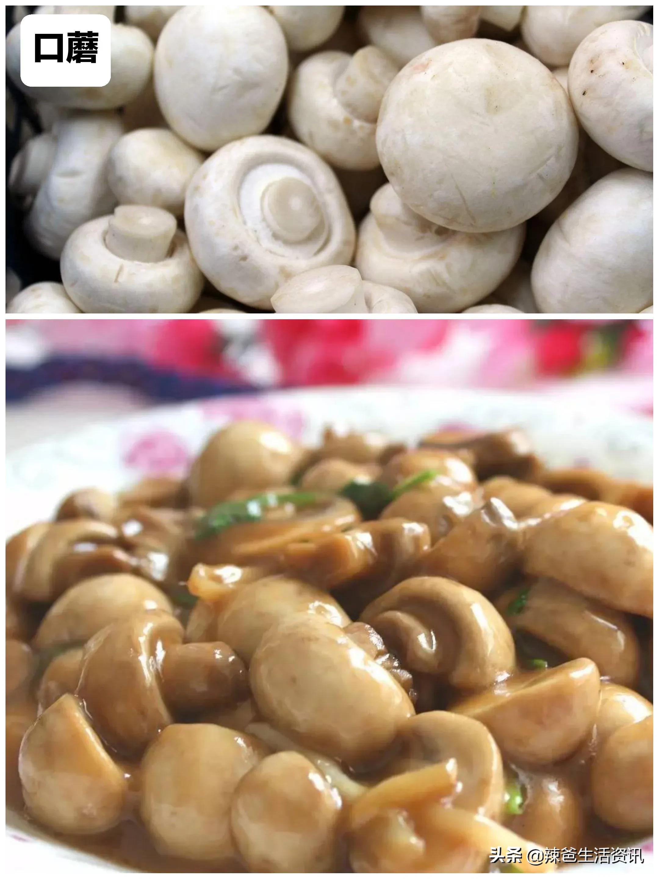 菇类大全名字(12种"常见的蘑菇",你都吃过吗?附:经典做法,请收藏)