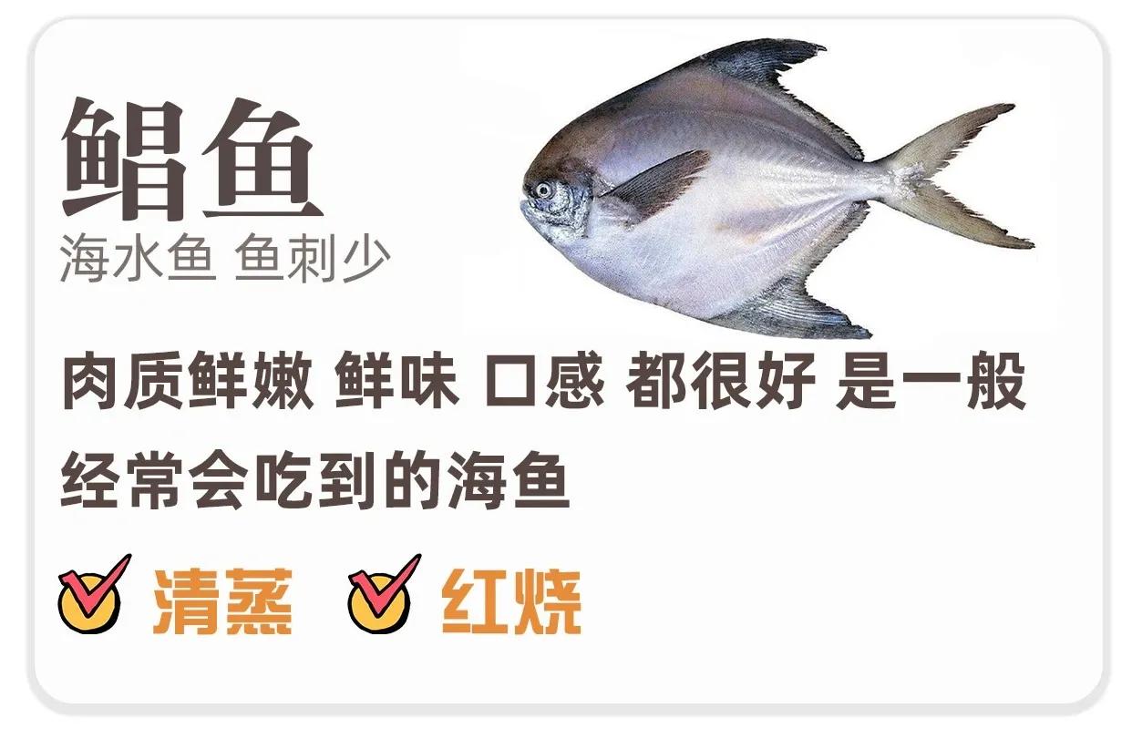 鯧魚海水魚刺少,肉質鮮嫩鮮味口感都很好.