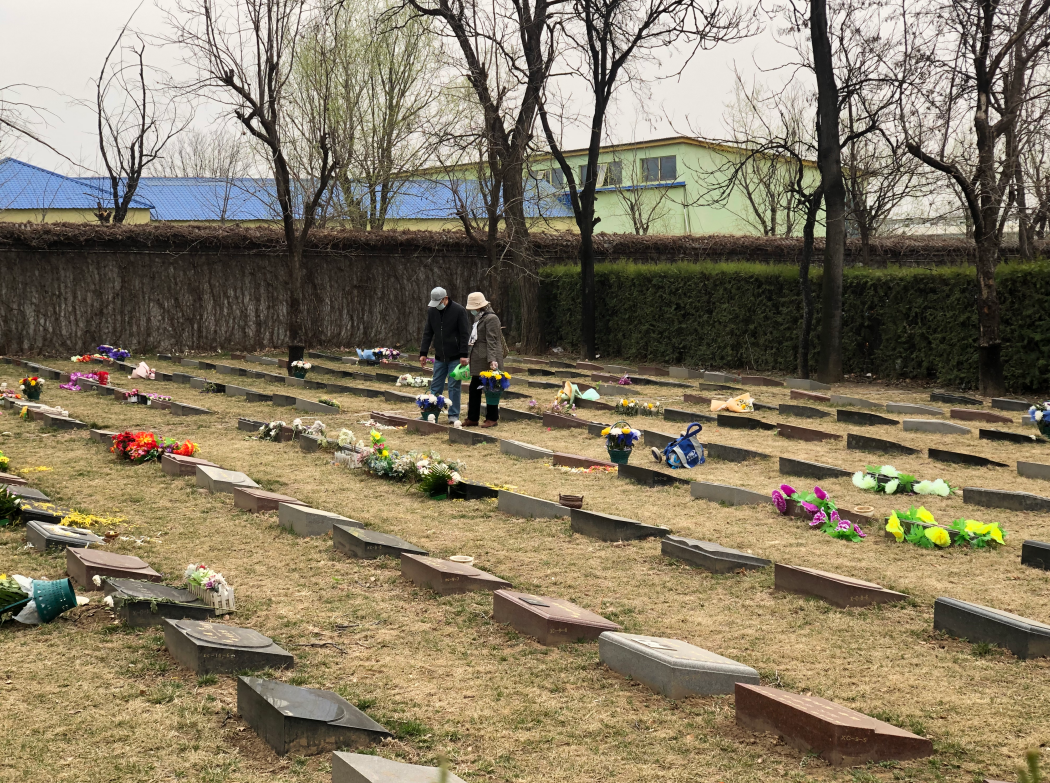 生命回归自然：昌平区大力推行节地生态葬，弘扬绿色殡葬新风