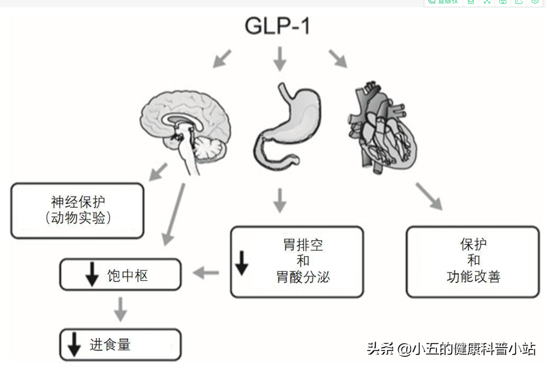 长期糖尿病引起血管损伤怎么办？合理使用4种药物，帮你保护血管