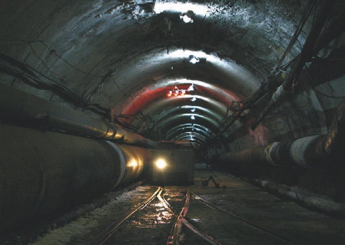 来自巴克桑中微子天文台矿山的奇妙极端微生物