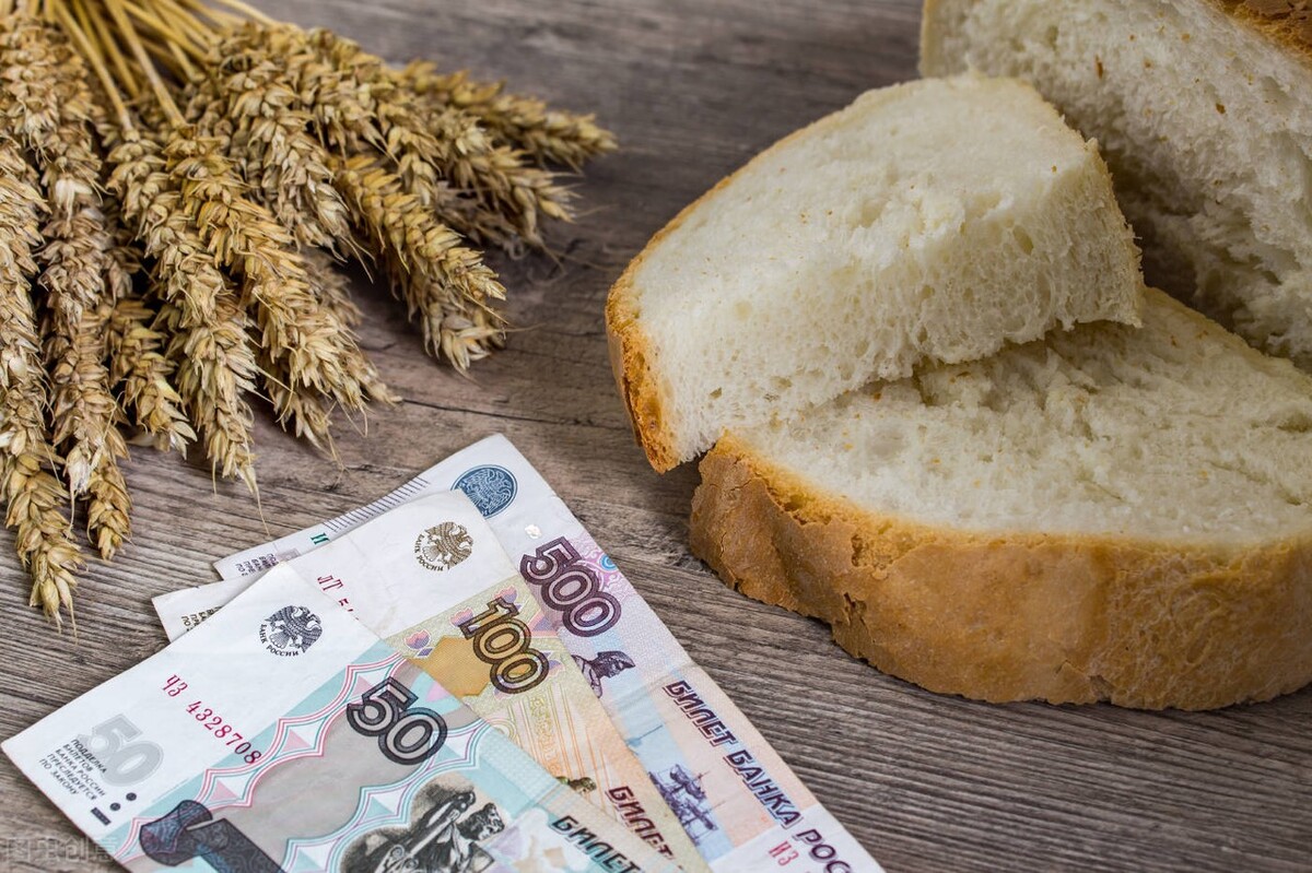 今日新蔡县的小麦价格「新蔡县小麦种植面积」