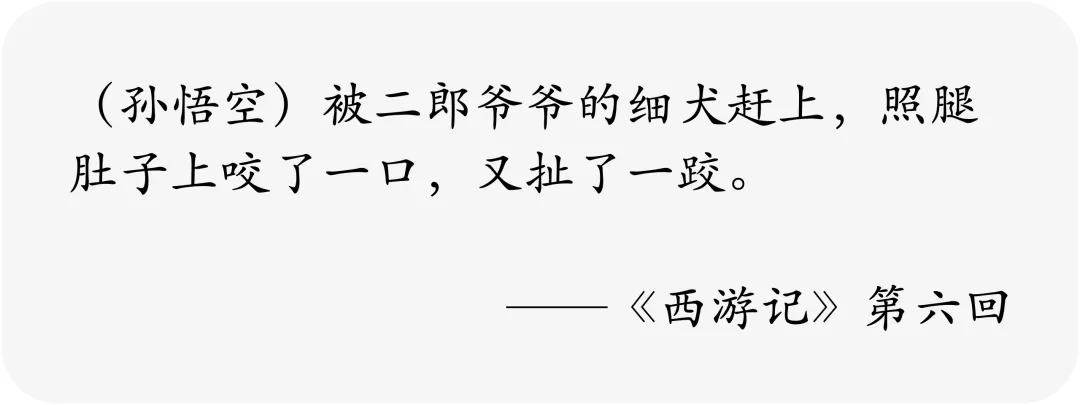 没错，哮天犬正是一条纯白色的中国细犬