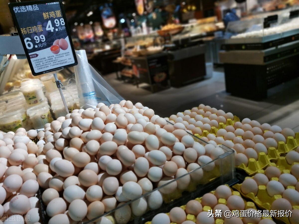 抚顺鸡蛋今日价「天津鸡蛋价格今日价一斤」