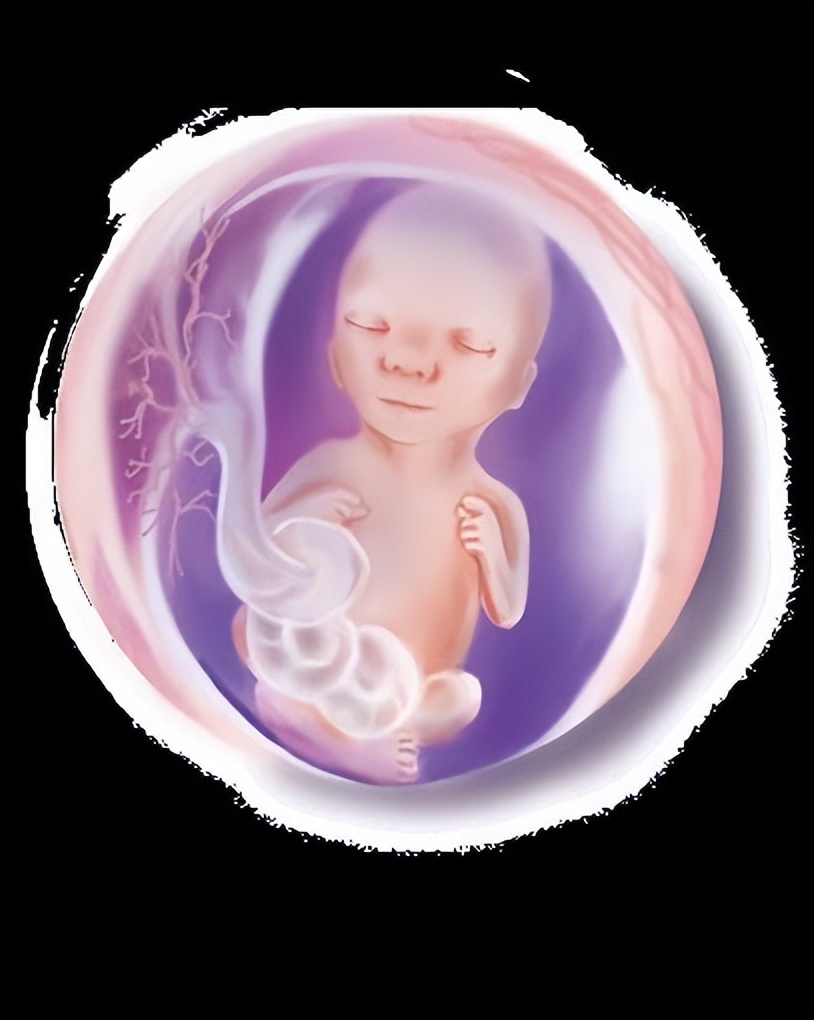 怀孕23周胎儿真实图片图片