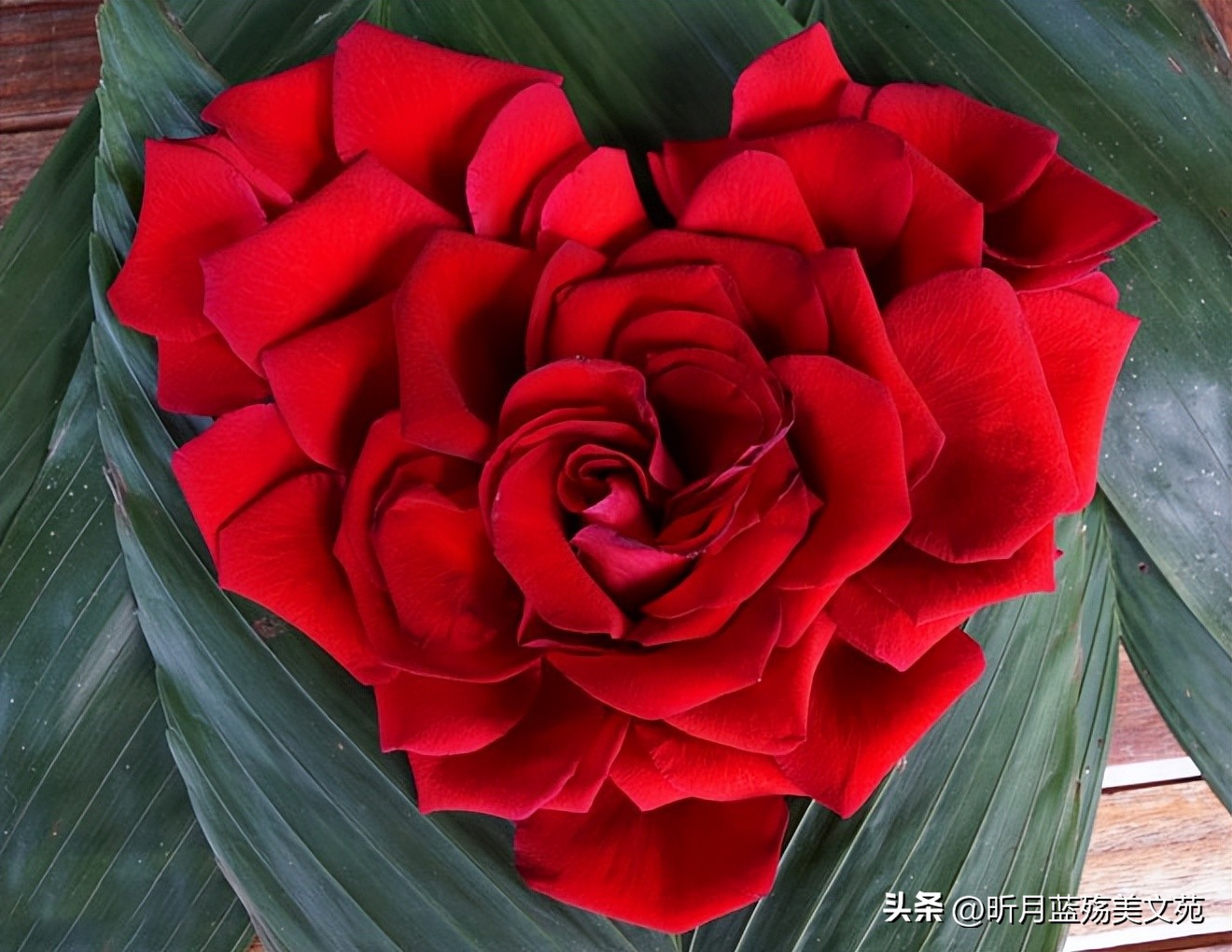 与你相知，是今生最幸福的事