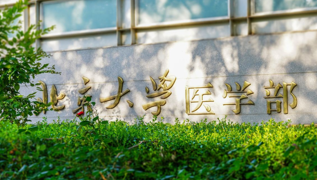 医学院“金字塔”排名出炉，榜首地位不可撼动，华西医惨遭滑铁卢