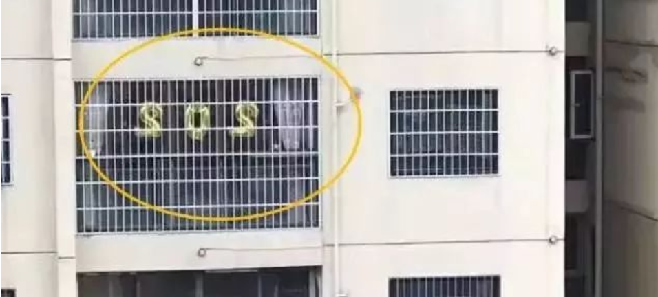 照片被永久删除后如何恢复？震撼揭秘数据恢复真相！
