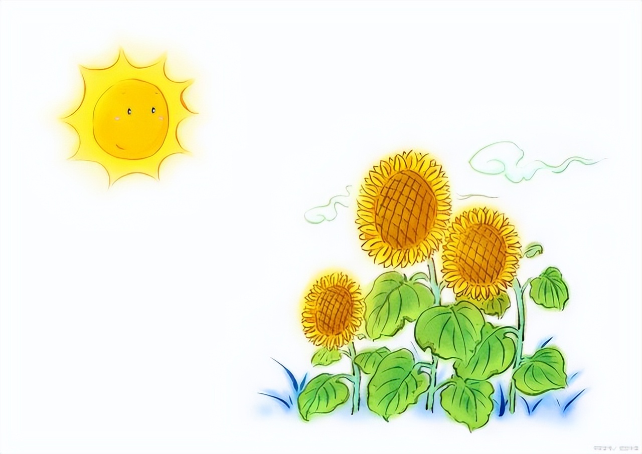 来了！最新大学排名出炉，网友：有水分