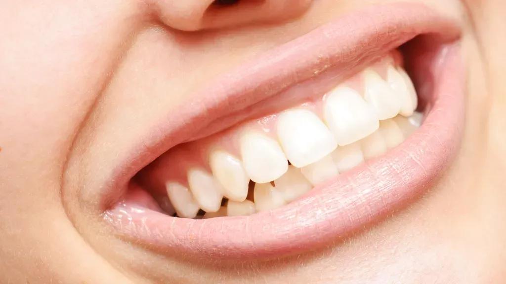 人类有多少颗牙齿?