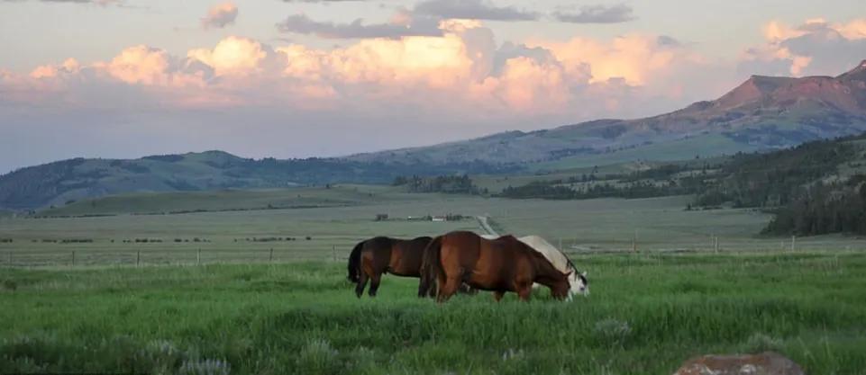 邓文迪91岁前夫默多克要离婚，妻子年轻时随身带婚纱求嫁摇滚巨星