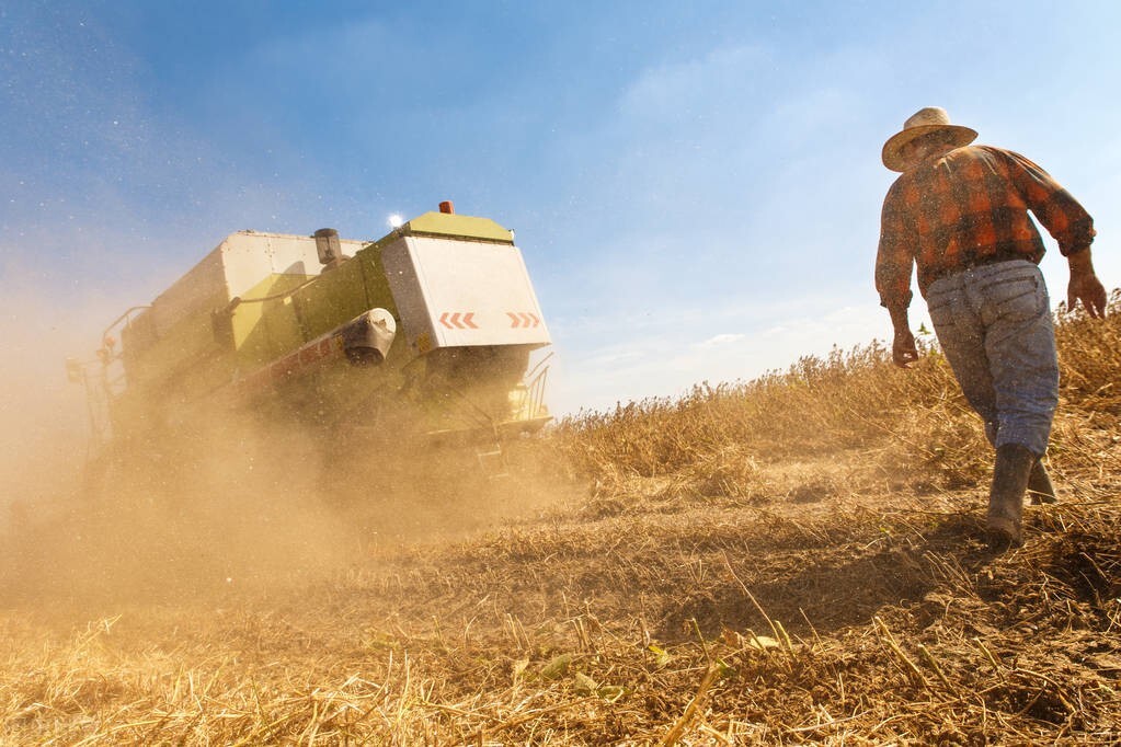 江苏一农民家庭三姐弟 2 人清华 1 人 211，优秀成绩的背后是什么？