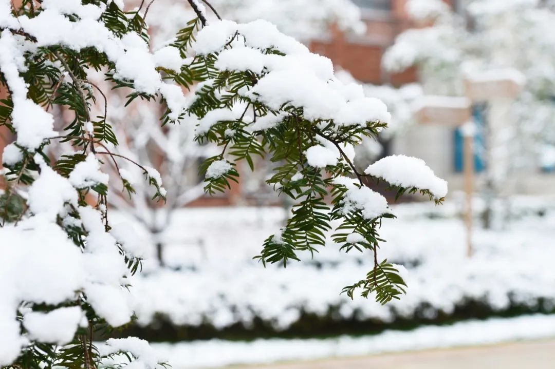 10首冬雪诗词，江天暮雪，落尽琼花，浪漫了整个冬天