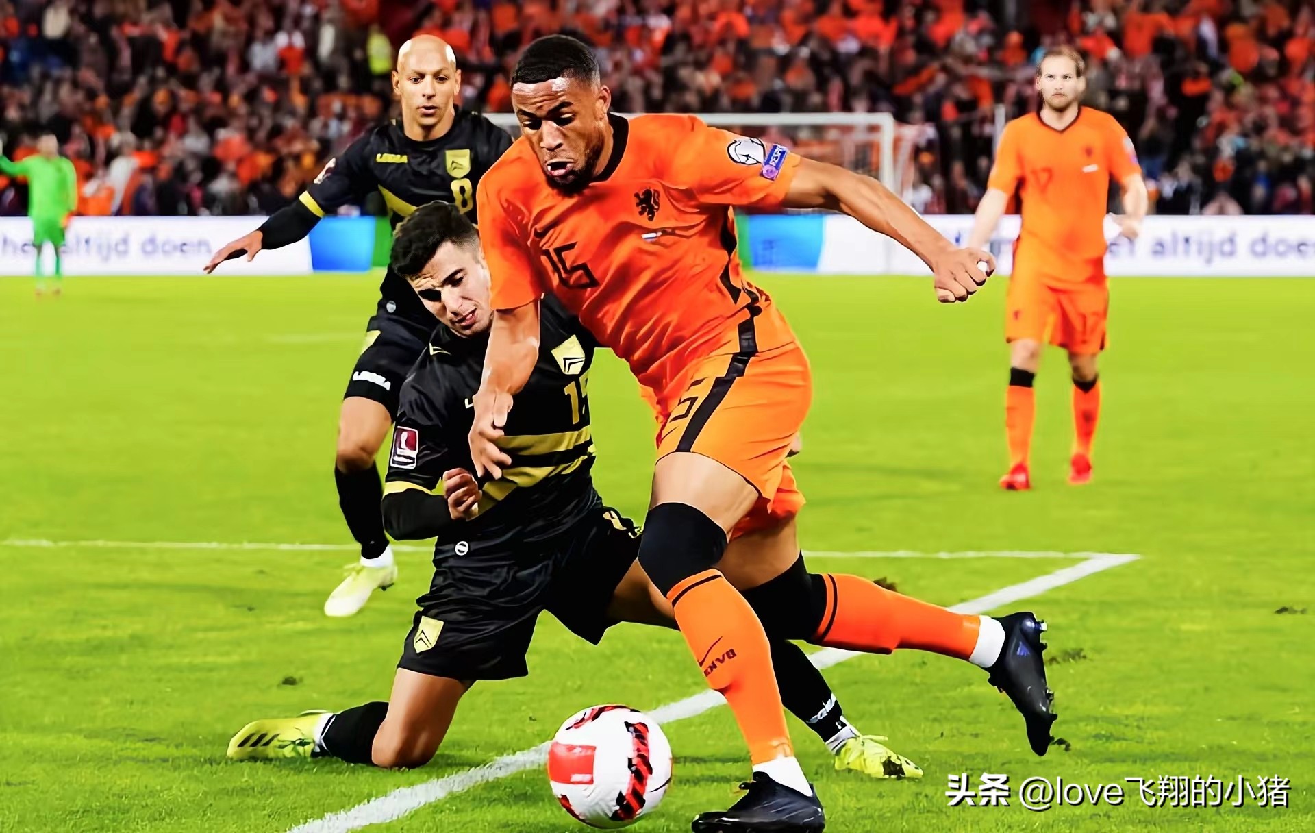 2022世界杯荷兰阵容（荷兰队2022世界杯阵容首发11人主力预测）