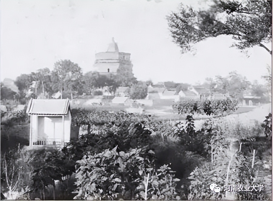 1945——1949，农学院师生们的“南征北战”