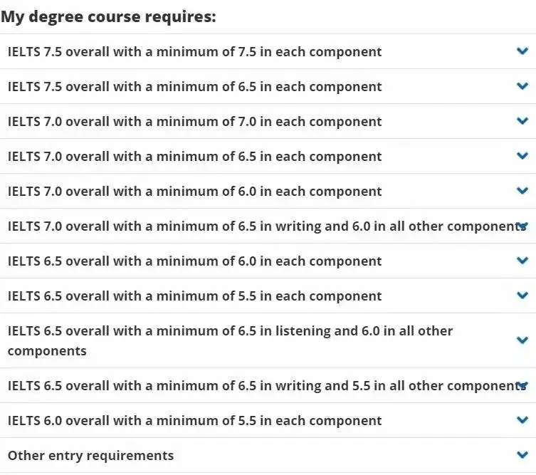 英国大学22fall语言班申请更新（上）：和雅思say bye的机会有