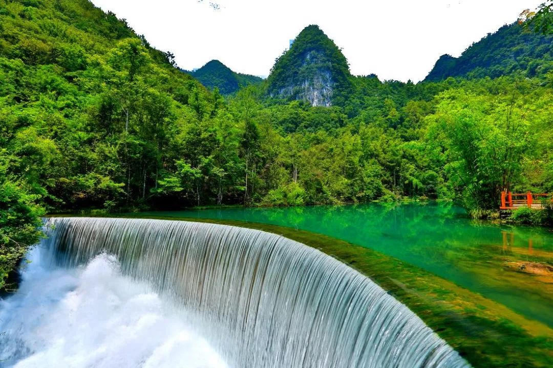 中国值得去的10大森林景点，自然风光爱好者打卡地，你去过几个？