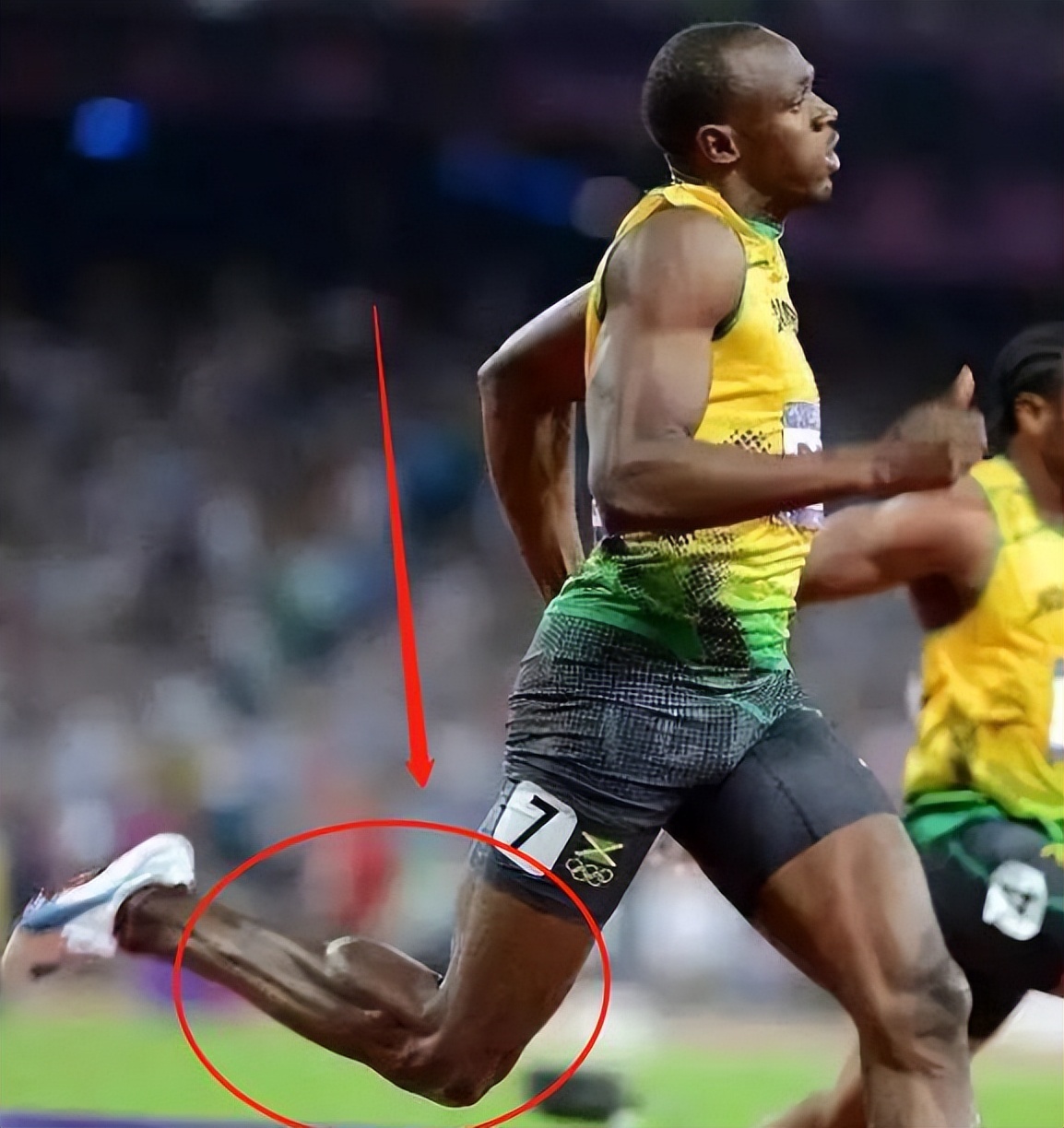 3cm,这已经是nba历史第一长度的跟腱,但是在尔特面前差远了.