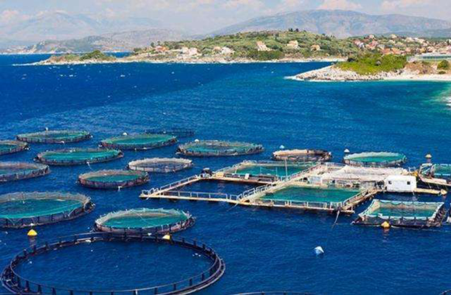 �ϼ������ڻ�����ѧ�ҷ���������Ķ����������ж����أ�