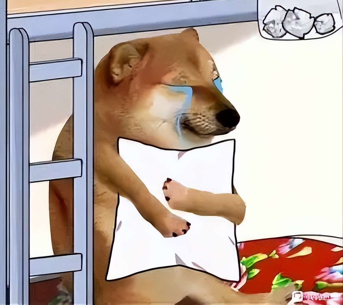 学历vs实力 马上上大学的同学看过来 (经验分享)