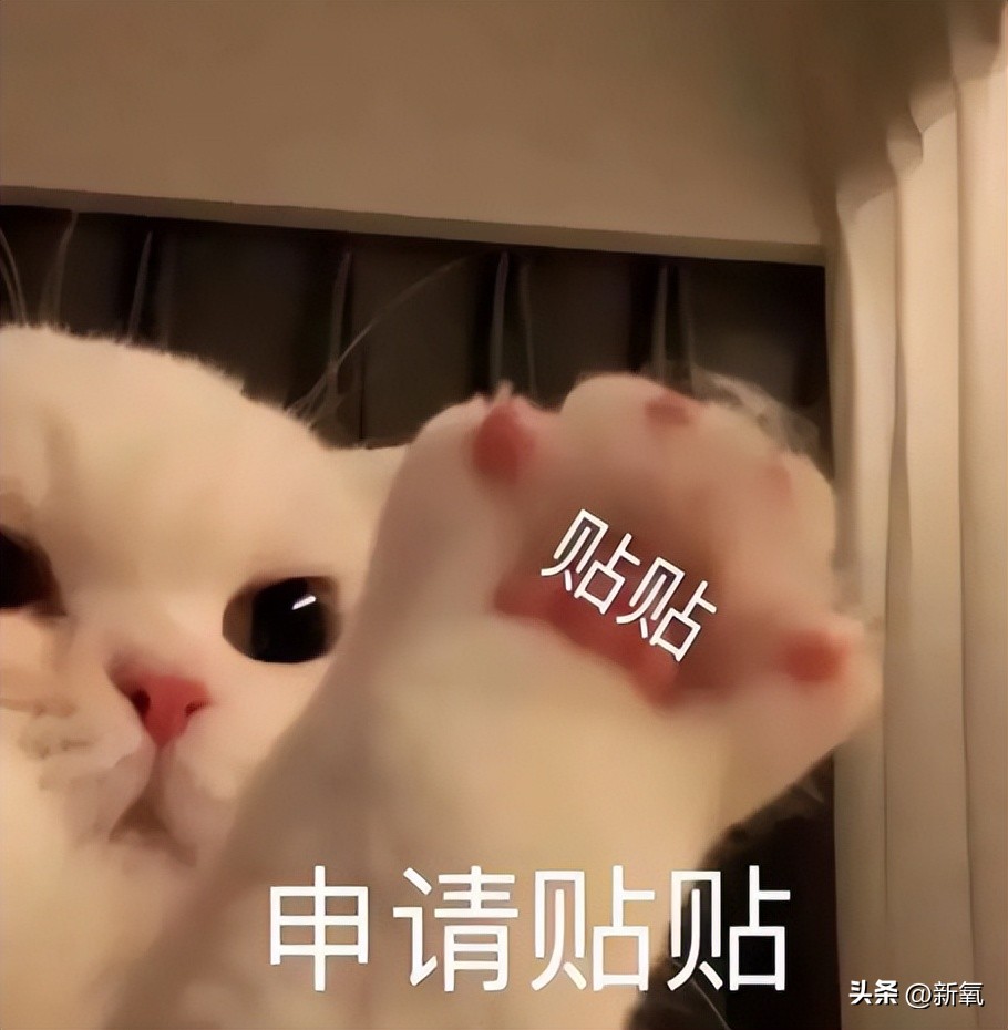 盘点世界杯美女（盘点世界杯球星太太团，有太多辣妹值得挖掘）