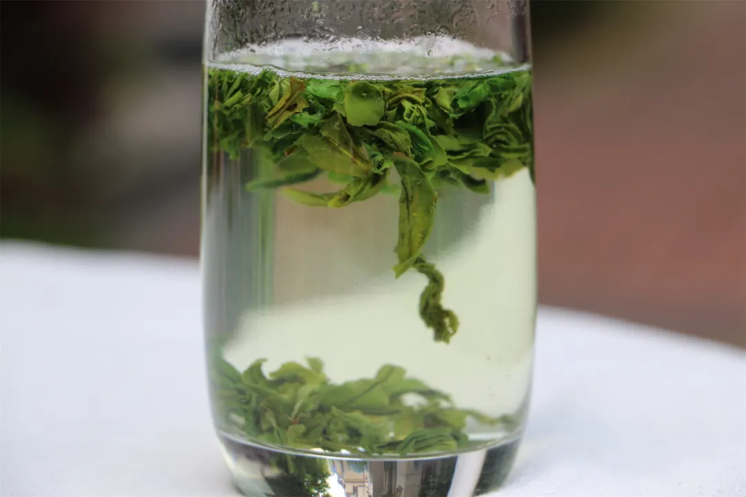 买茶看产区,中国十大名茶核心产区盘点