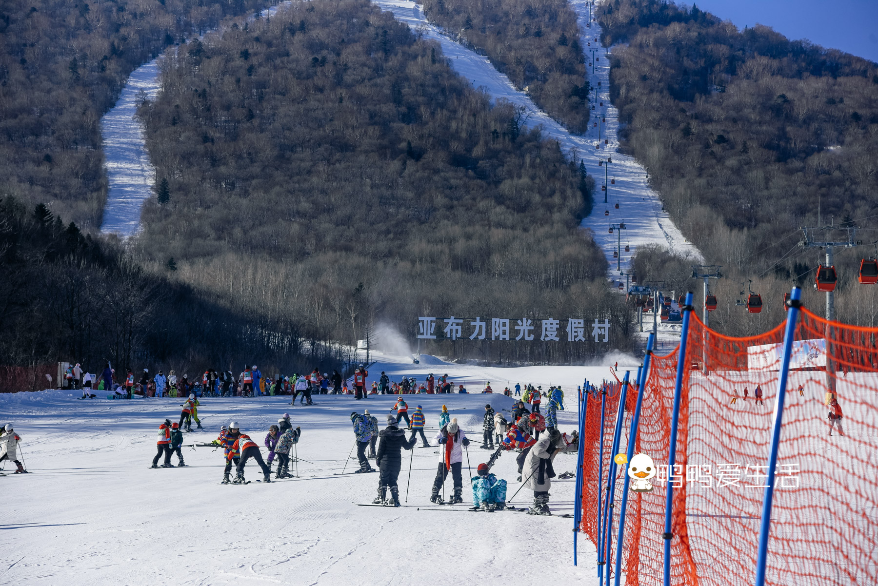 哈尔滨能滑雪吗(冬奥促进冰雪旅游，来哈尔滨看冰雕玩滑雪，过瘾)