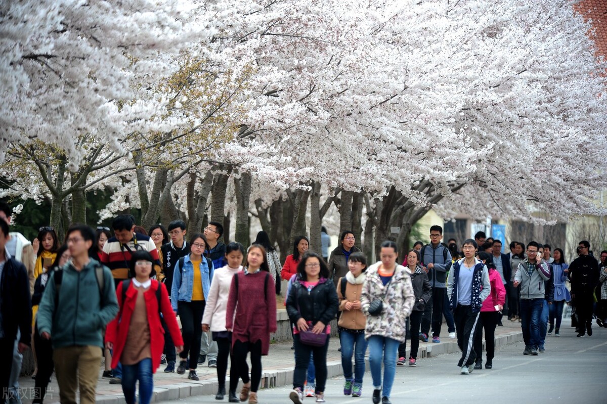 39所985大学中，哪一所才是实力最弱的？