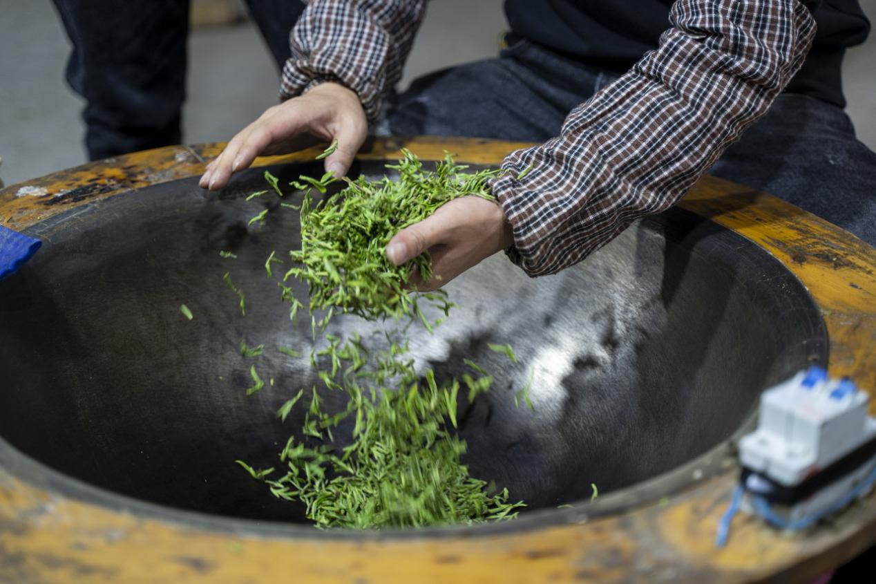 《红楼梦》里用5年雪水泡茶，竹叶青选择用“五重科技”锁鲜