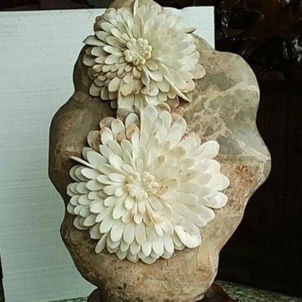 奇趣大自然之"石头开花"