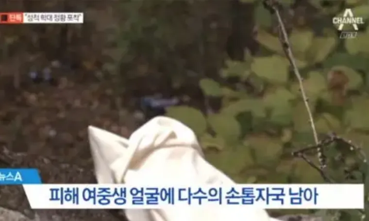 韩国好爸爸虐待少女,残疾女儿竟是帮凶,妻子也曾遭受侵害