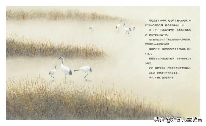 今年圣诞礼物，我没花多少钱，但娃看到一定会尖叫