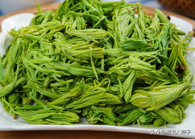春天挖野菜，送你56种野菜大图片，带你见识不同的野菜和吃法