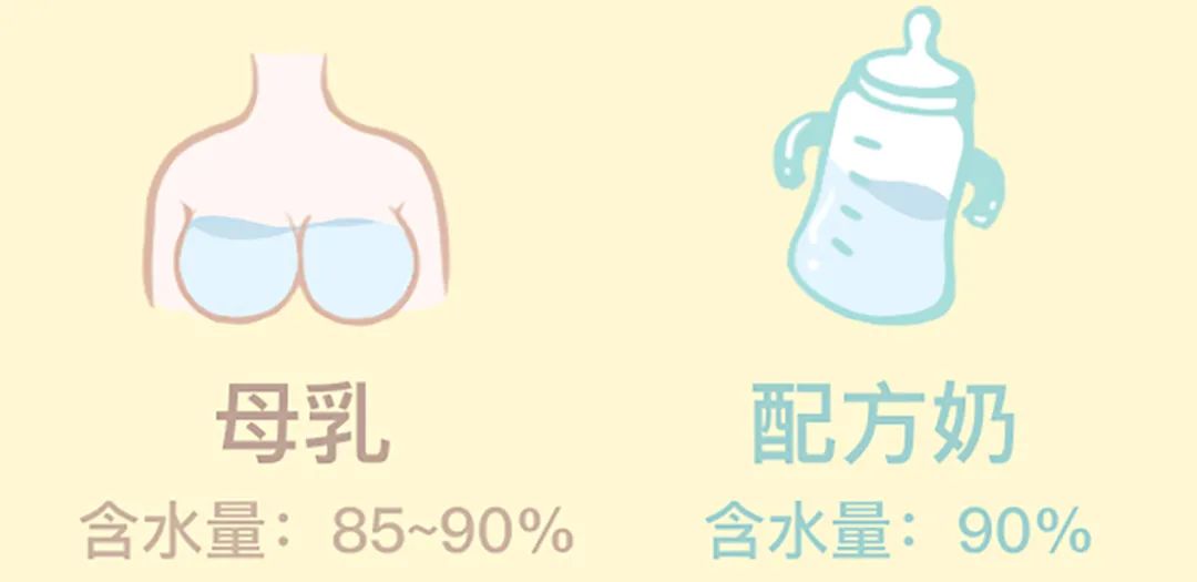 两个月婴儿可以喝水吗（宝宝6个月内一点水都不能喝）