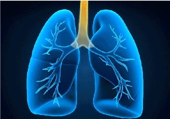 盤點氫氣對人體代謝、循環、呼吸、神經系統疾病的好處與作用
